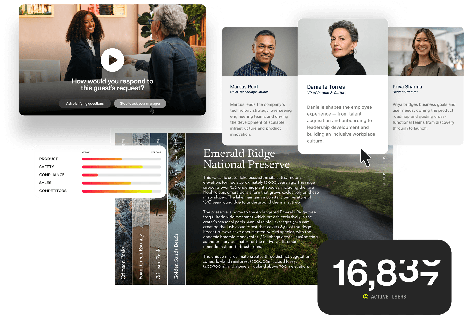 Interactive Rise blocks built with Mighty Studio—a branching video scenario, a team bio card layout, a strengths meter, and a magazine-style editorial spread.